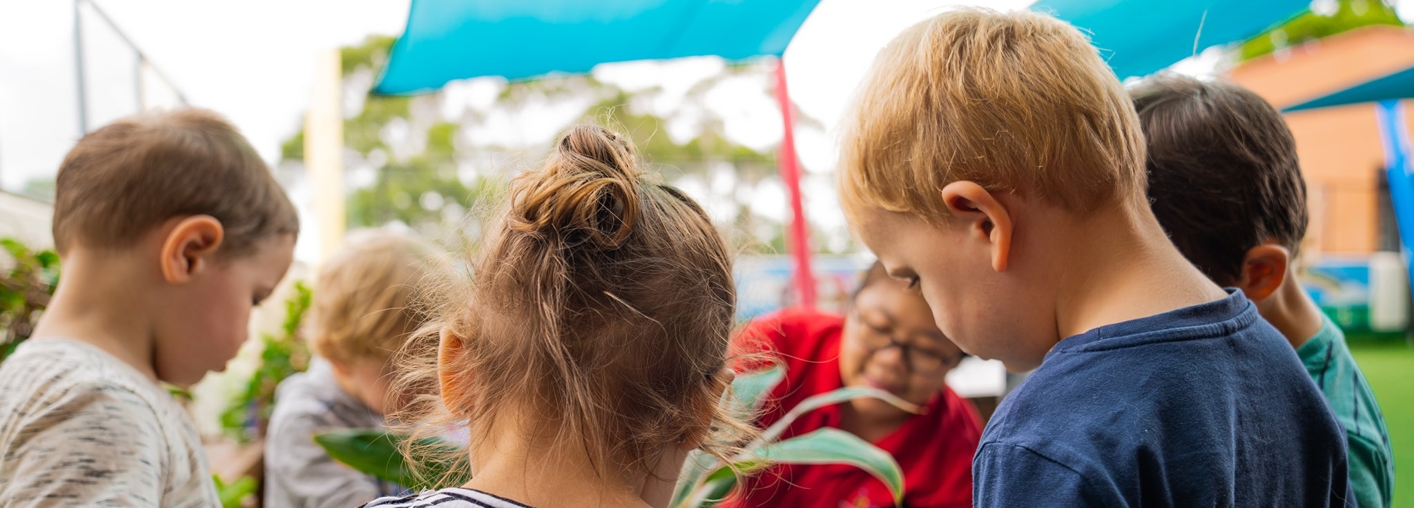 Butterflies Early Learning and Childcare Centre Graduate Programs UNSW Business School Careers